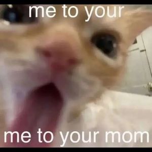 Meet your Posher, Angelic